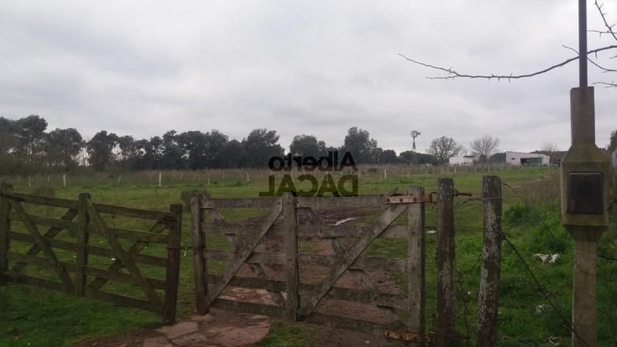 Terrain à Campo Creado, Argentina No. 50783