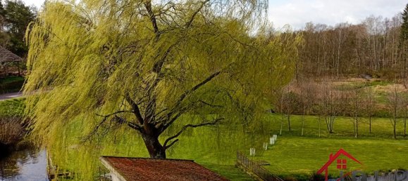 4 Schlafzimmer Haus in Arches, France, Nr. 92801 15