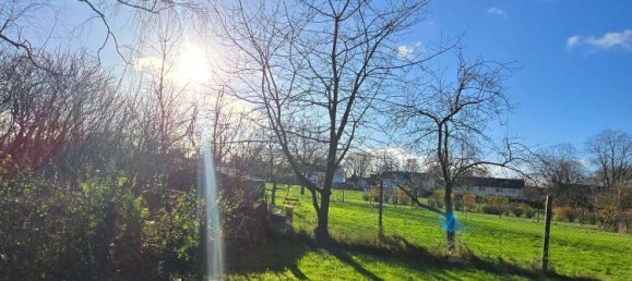  قطعة أرض في Kleve, Germany رقم 162131 18