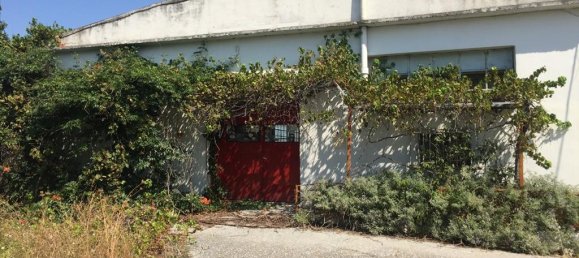 1050m² Property in Pylaia, Greece No. 5518 2