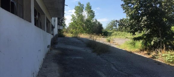 1050m² Property in Pylaia, Greece No. 5518 4