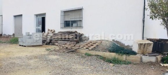 7 Schlafzimmer Villa in La Alfoquia, Spain, Nr. 7342 24