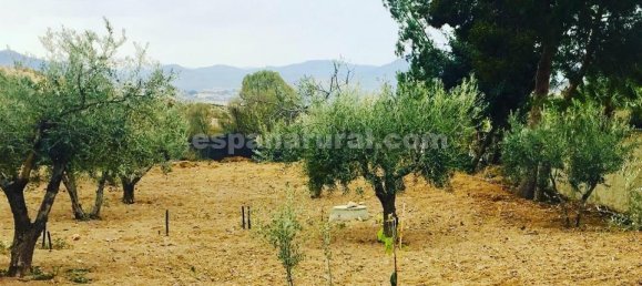 7 Schlafzimmer Villa in La Alfoquia, Spain, Nr. 7342 28