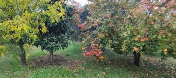 5-Zimmer Villa in Cartoceto, Italy, Nr. 31012 12