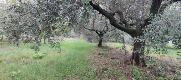 5-Zimmer Villa in Cartoceto, Italy, Nr. 31012 14