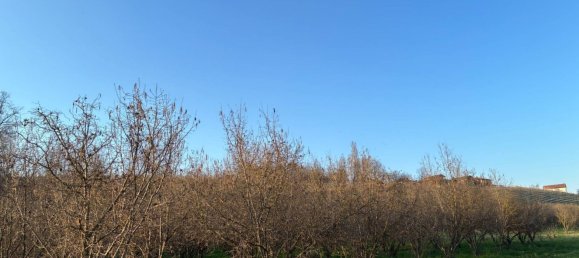 90000m² Land in Roddi, Italy No. 49453 4