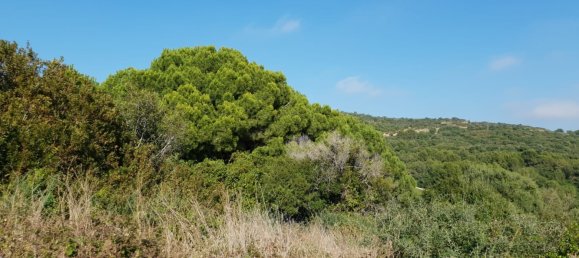 Land in Cadiz, Spain No. 204545 3