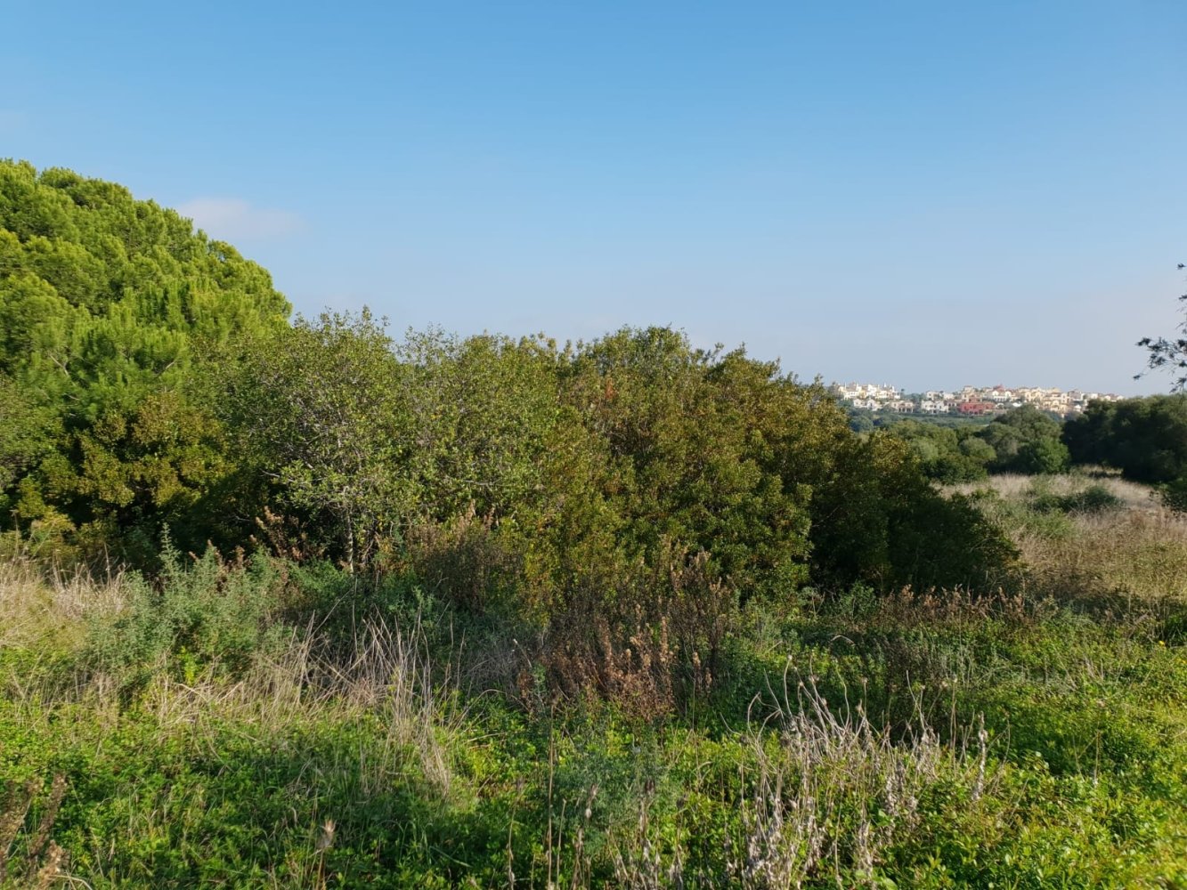 Земельный участок в Кадис, Испания № 204545