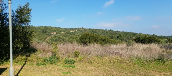 Land in Cadiz, Spain No. 204545 6