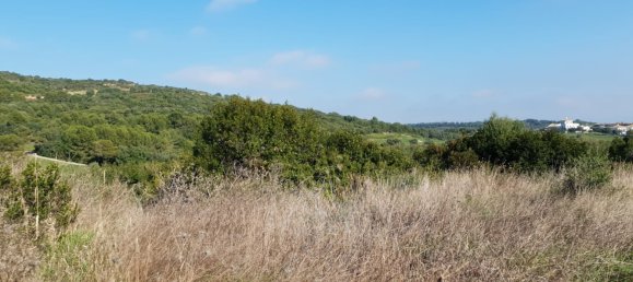 Land in Cadiz, Spain No. 204545 4