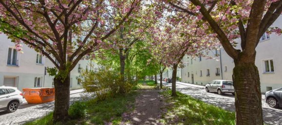 2 bedrooms Apartment in Prenzlauer Berg, Germany No. 66759 8