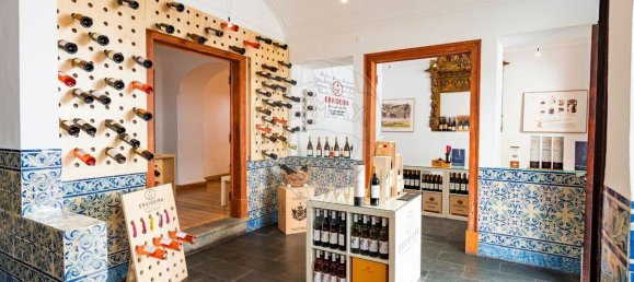 495m² Building in Evora, Portugal No. 145227 35