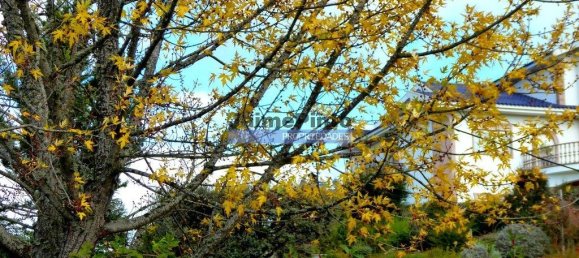 9 غرف نوم منزل في Mirandela, Portugal رقم 31073 2