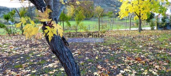 9 غرف نوم منزل في Mirandela, Portugal رقم 31073 8