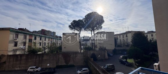 6غرفة شقة في Naples, Italy رقم 24312 33