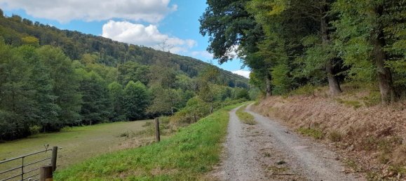 15-Zimmer Hotel in Main-Spessart, Germany, Nr. 298145 16