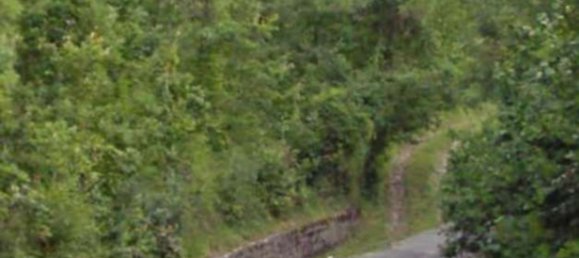 15-salle Maison à Tornolo, Italy No. 298857 16