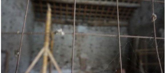 3 rooms House in Marano Vicentino, Italy No. 296435 31