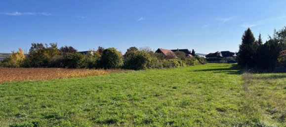 Земельный участок в Штрас им Штрасертале, Австрия № 242922 6