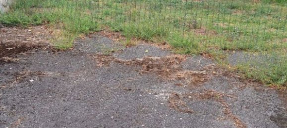 6 غرف نوم بانتهاوس في Rome, Italy رقم 315229 20