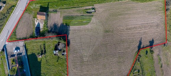 2 chambres Maison à Santo Varao, Portugal No. 165373 11