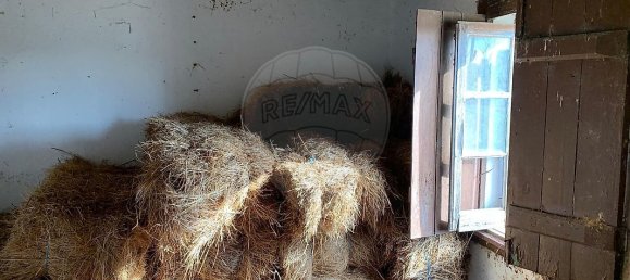 2 chambres Maison à Santo Varao, Portugal No. 165373 20