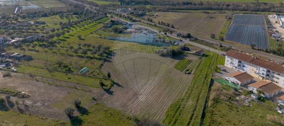 2 chambres Maison à Santo Varao, Portugal No. 165373 6