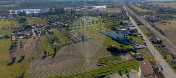 2 chambres Maison à Santo Varao, Portugal No. 165373 5