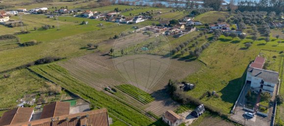 2 chambres Maison à Santo Varao, Portugal No. 165373 3