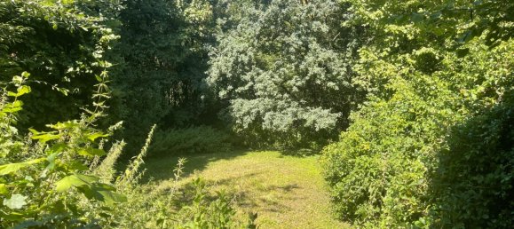 7 bedrooms Townhouse in Nurnberger Land, Germany No. 268359 10