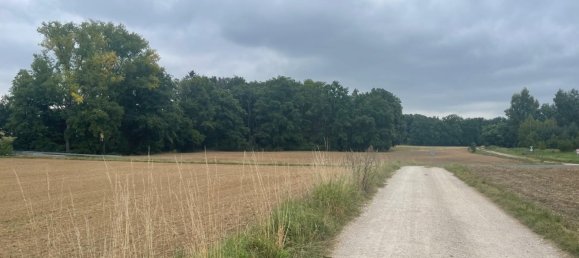 7 bedrooms Townhouse in Nurnberger Land, Germany No. 268359 12