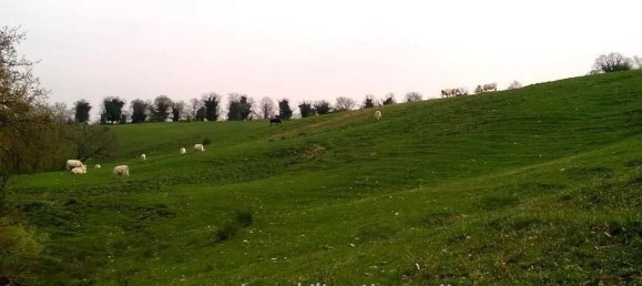 22غرفة منزل في Orvieto, Italy رقم 168478 34