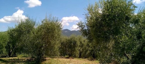 22غرفة منزل في Orvieto, Italy رقم 168478 32