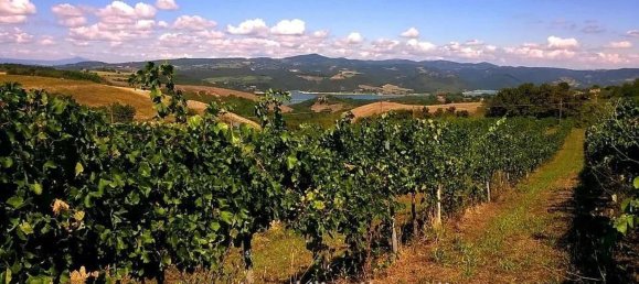 22غرفة منزل في Orvieto, Italy رقم 168478 33