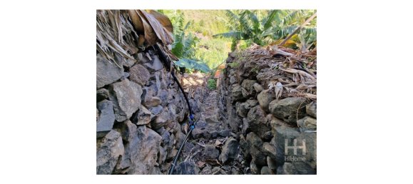 Grundstück in Ponta do Sol, Portugal 2403m², Nr. 96206 9