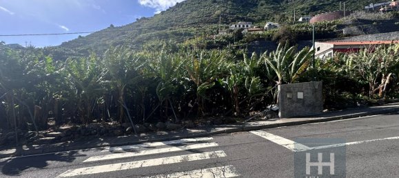 Grundstück in Ponta do Sol, Portugal 2403m², Nr. 96206 14