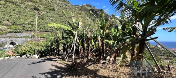 Grundstück in Ponta do Sol, Portugal 2403m², Nr. 96206 17