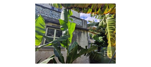 Grundstück in Ponta do Sol, Portugal 2403m², Nr. 96206 4