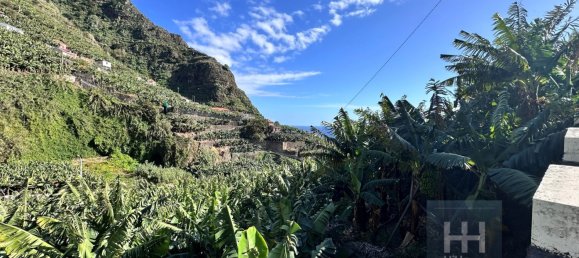 Grundstück in Ponta do Sol, Portugal 2403m², Nr. 96206 18