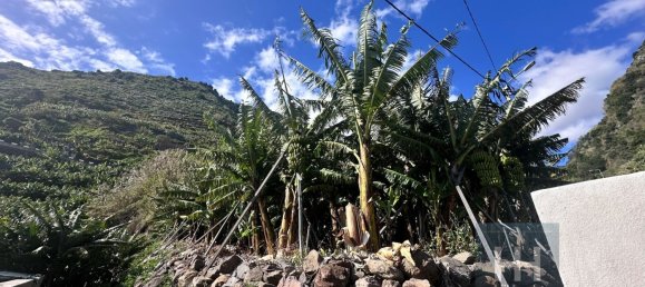 Grundstück in Ponta do Sol, Portugal 2403m², Nr. 96206 15