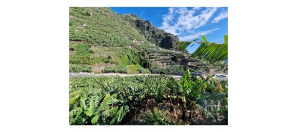 Grundstück in Ponta do Sol, Portugal 2403m², Nr. 96206 13