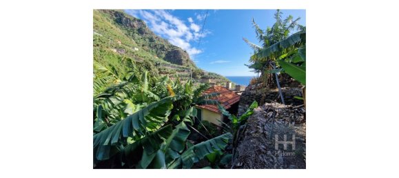 Grundstück in Ponta do Sol, Portugal 2403m², Nr. 96206 20