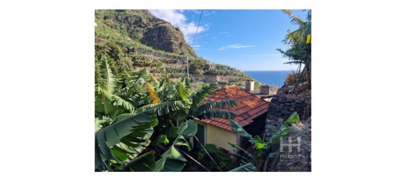 Grundstück in Ponta do Sol, Portugal 2403m², Nr. 96206 8