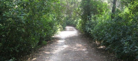 Финка с 3 спальнями в Дения, Испания № 2489 2