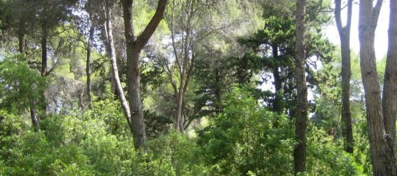 Финка с 3 спальнями в Дения, Испания № 2489 3