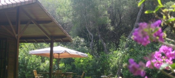 Финка с 3 спальнями в Дения, Испания № 2489 7