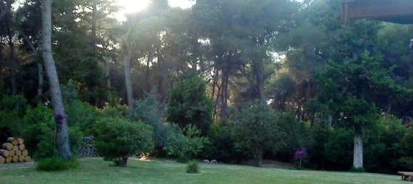 Финка с 3 спальнями в Дения, Испания № 2489 4