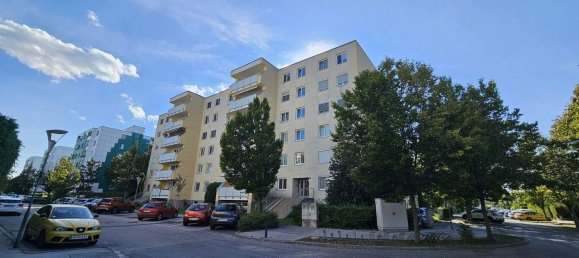 Estúdio em Biedermannsdorf, Austria N.º 239944 20