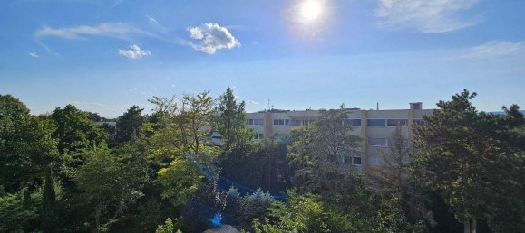 Estúdio em Biedermannsdorf, Austria N.º 239944 22