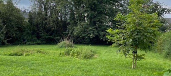 Land in Lippe, Germany No. 233267 3